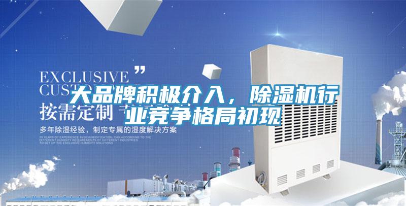 大品牌积极介入，小黄片直播视频行业竞争格局初现