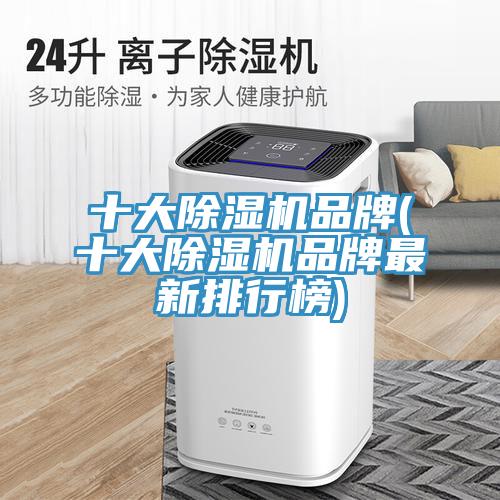 十大小黄片直播视频品牌(十大小黄片直播视频品牌最新排行榜)