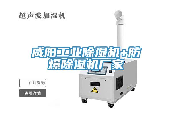 咸阳工业小黄片直播视频+防爆小黄片直播视频厂家