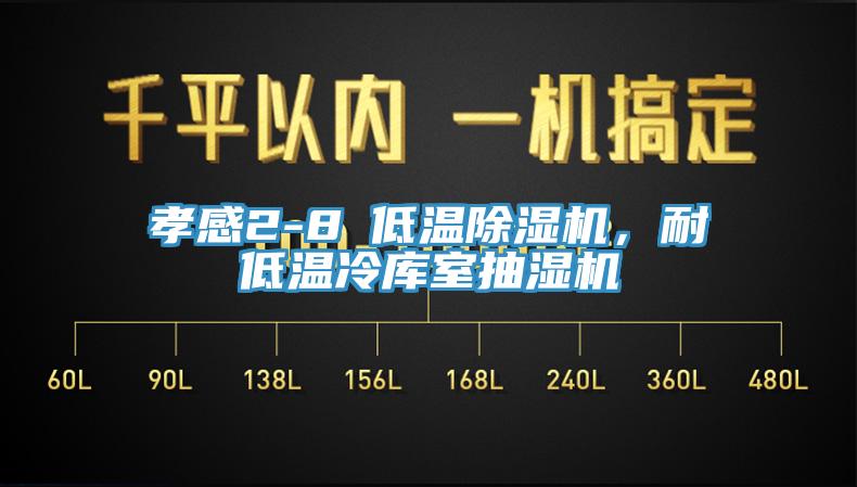 孝感2-8℃低温小黄片直播视频，耐低温冷库室抽湿机