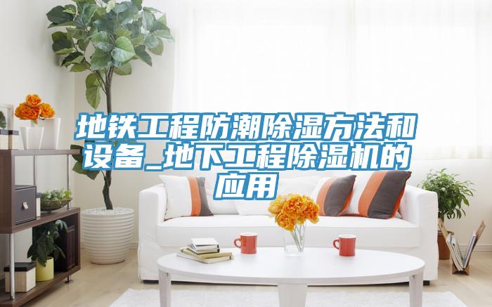 地铁工程防潮除湿方法和设备_地下工程小黄片直播视频的应用
