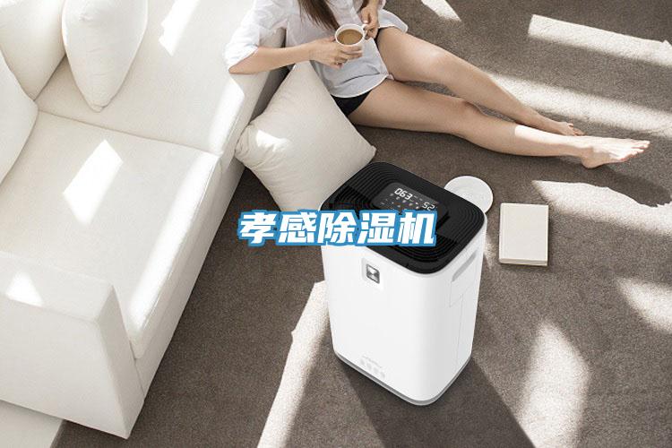 孝感小黄片直播视频