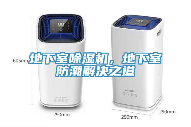 地下室小黄片直播视频，地下室防潮解决之道