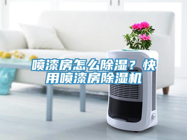 喷漆房怎么除湿？快用喷漆房小黄片直播视频