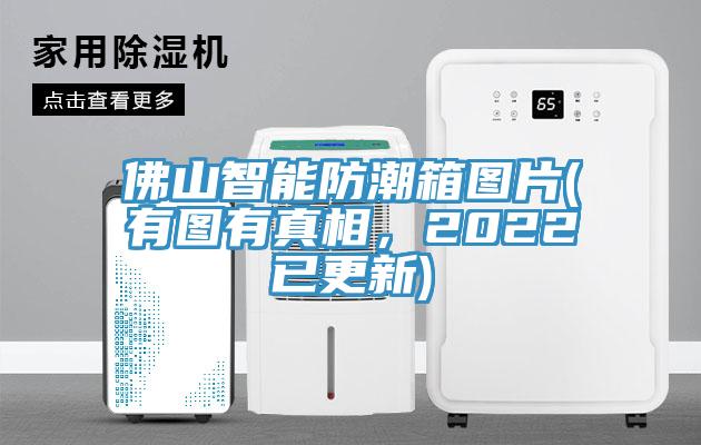 佛山智能防潮箱图片(有图有真相，2022已更新)