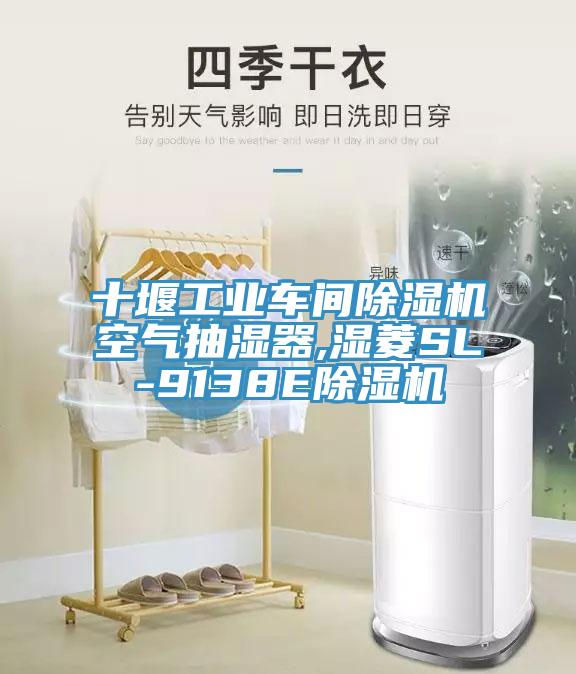 十堰工业车间小黄片直播视频空气抽湿器,湿菱SL-9138E小黄片直播视频