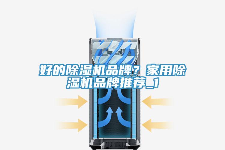好的小黄片直播视频品牌？家用小黄片直播视频品牌推荐_1