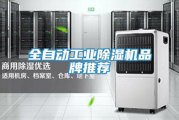 全自动工业小黄片直播视频品牌推荐