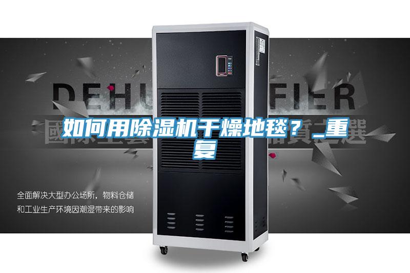 如何用小黄片直播视频干燥地毯？_重复