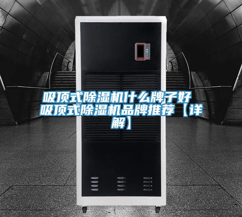 吸顶式小黄片直播视频什么牌子好 吸顶式小黄片直播视频品牌推荐【详解】