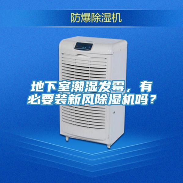 地下室潮湿发霉，有必要装新风小黄片直播视频吗？