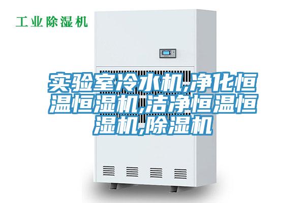 实验室冷水机,净化恒温恒湿机,洁净恒温恒湿机,小黄片直播视频
