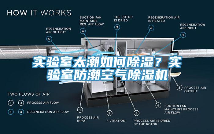 实验室太潮如何除湿？实验室防潮空气小黄片直播视频
