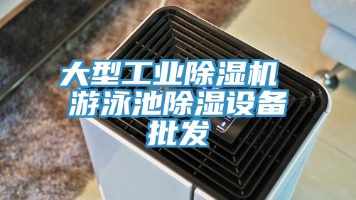 大型工业小黄片直播视频 游泳池除湿设备批发