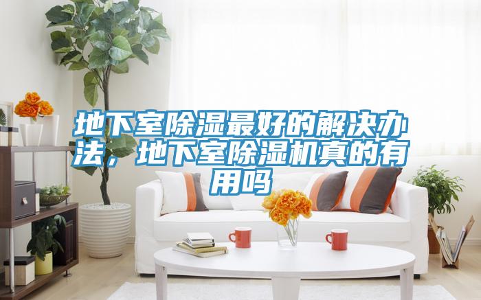 地下室除湿最好的解决办法，地下室小黄片直播视频真的有用吗