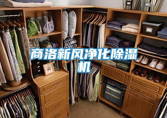 商洛新风净化小黄片直播视频