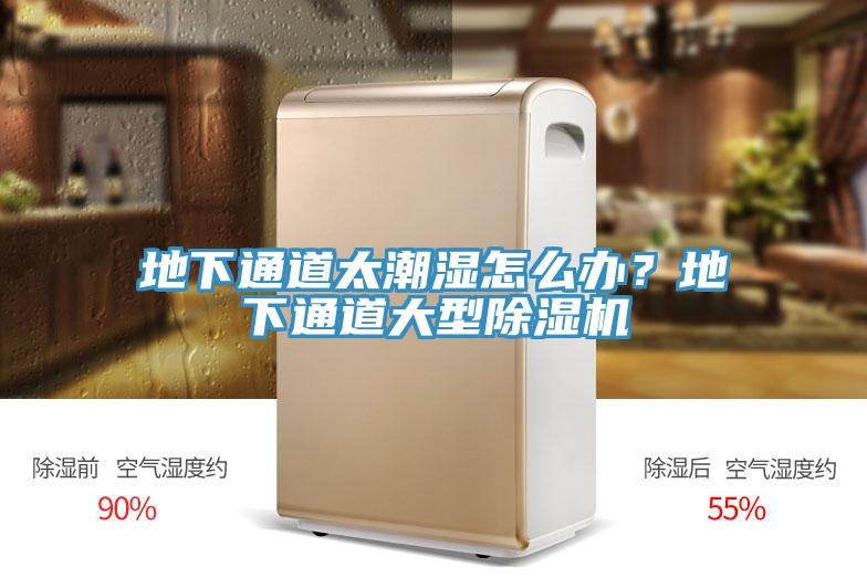 地下通道太潮湿怎么办？地下通道大型小黄片直播视频