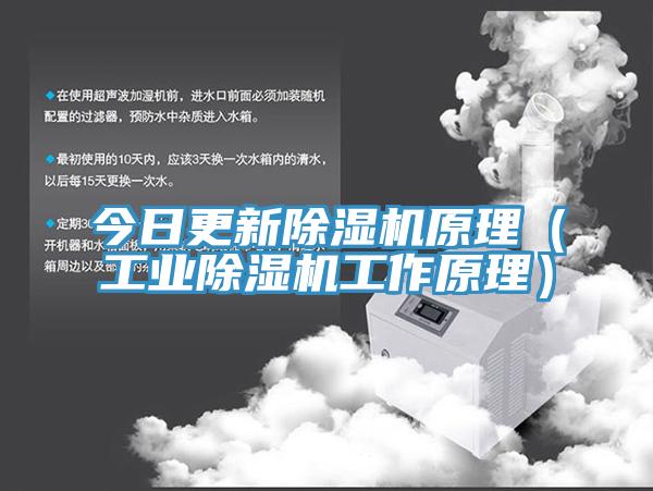 今日更新小黄片直播视频原理（工业小黄片直播视频工作原理）
