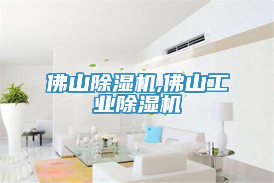 佛山小黄片直播视频,佛山工业小黄片直播视频