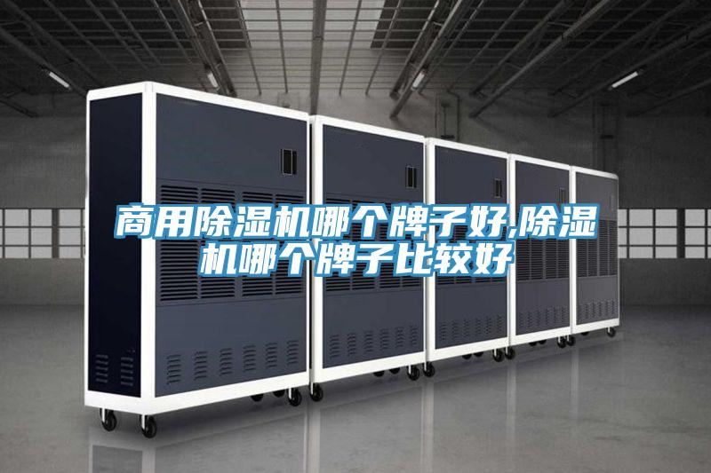 商用小黄片直播视频哪个牌子好,小黄片直播视频哪个牌子比较好