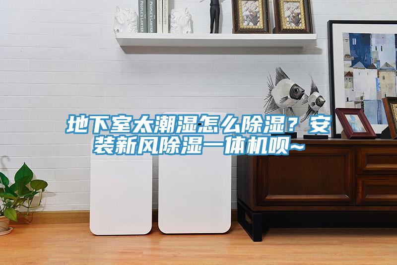地下室太潮湿怎么除湿？安装新风除湿一体机呗~