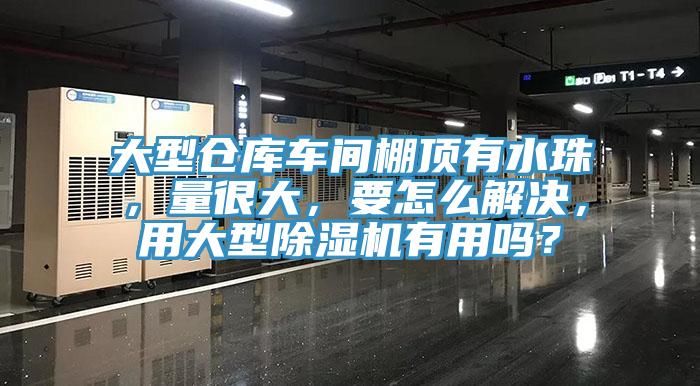 大型仓库车间棚顶有水珠，量很大，要怎么解决，用大型小黄片直播视频有用吗？