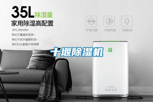 十堰小黄片直播视频