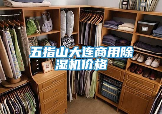 五指山大连商用小黄片直播视频价格