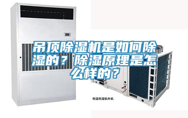 吊顶小黄片直播视频是如何除湿的？除湿原理是怎么样的？