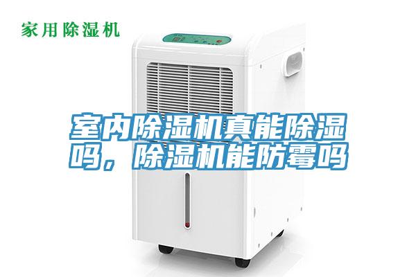 室内小黄片直播视频真能除湿吗，小黄片直播视频能防霉吗
