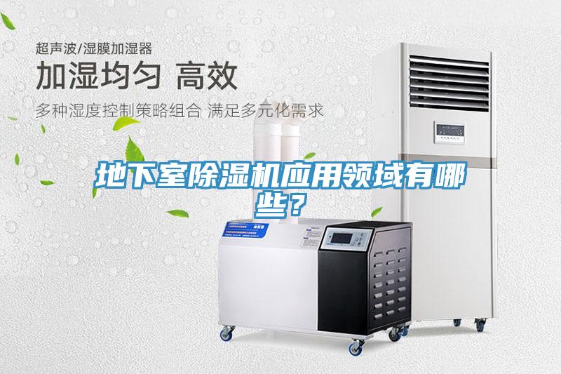 地下室小黄片直播视频应用领域有哪些？