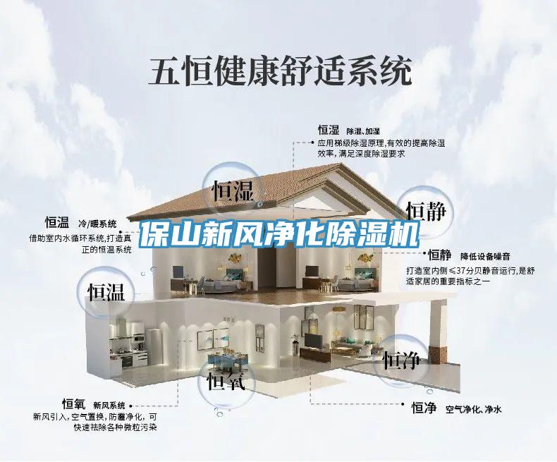 保山新风净化小黄片直播视频