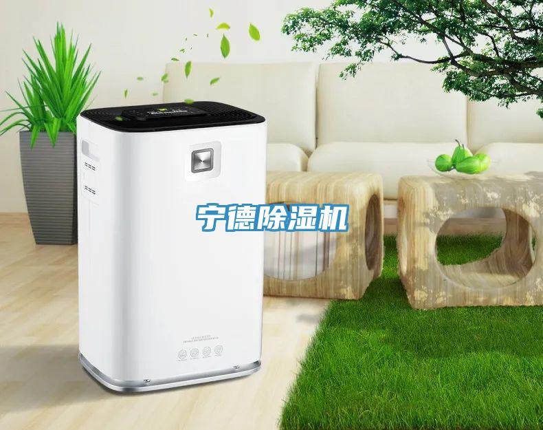宁德小黄片直播视频