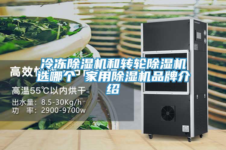 冷冻小黄片直播视频和转轮小黄片直播视频选哪个 家用小黄片直播视频品牌介绍