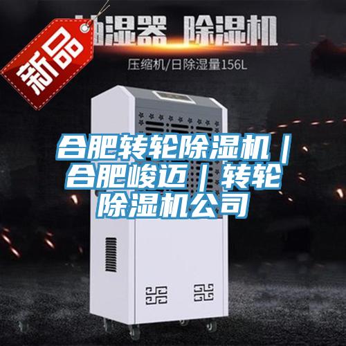 合肥转轮小黄片直播视频｜合肥峻迈｜转轮小黄片直播视频公司