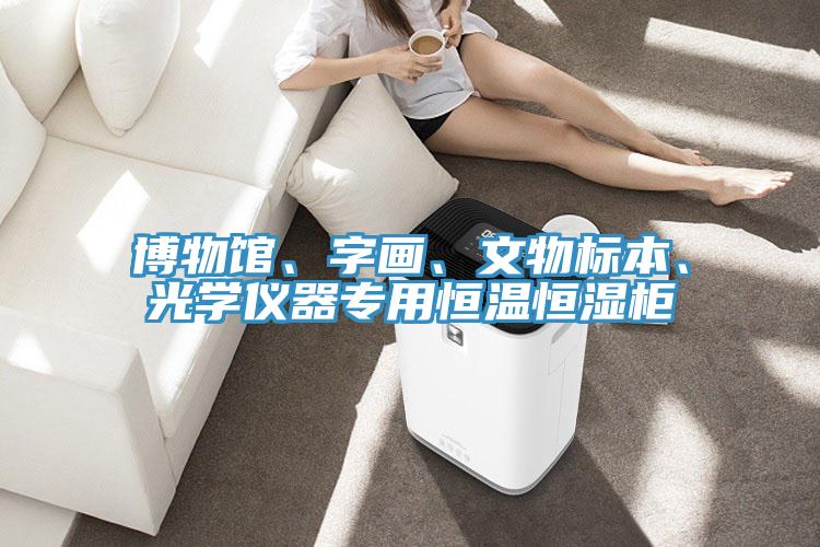 博物馆、字画、文物标本、光学仪器专用恒温恒湿柜