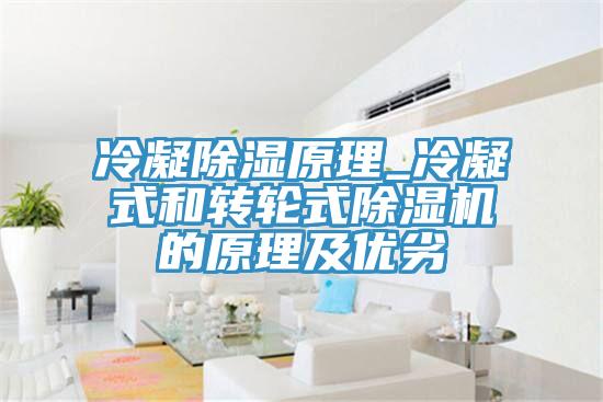 冷凝除湿原理_冷凝式和转轮式小黄片直播视频的原理及优劣