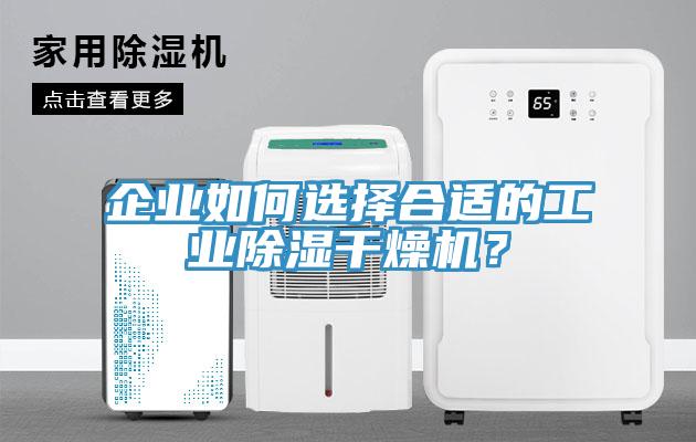 企业如何选择合适的工业除湿干燥机？