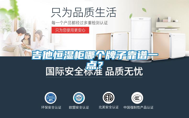 吉他恒湿柜哪个牌子靠谱一点？