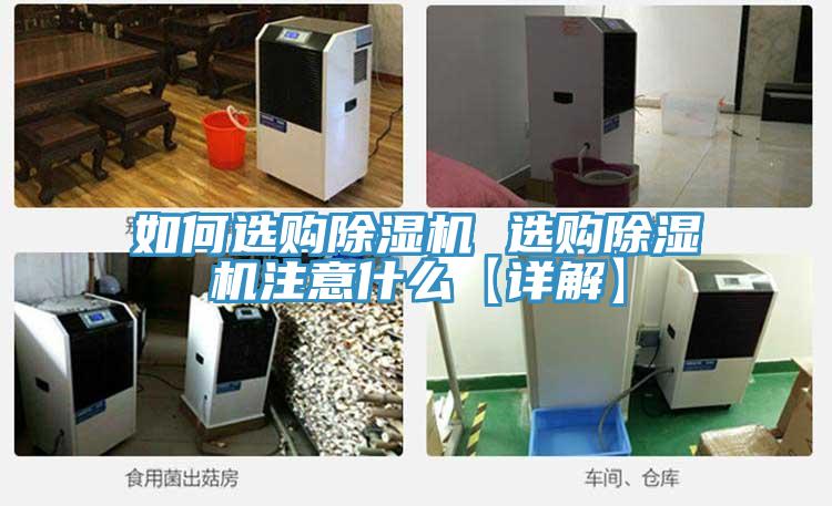 如何选购小黄片直播视频 选购小黄片直播视频注意什么【详解】