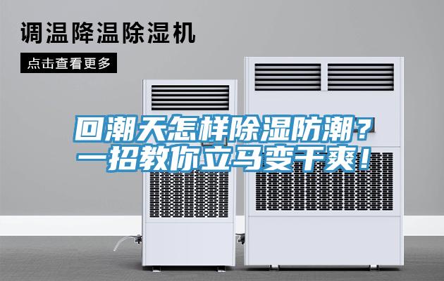 回潮天怎样除湿防潮？一招教你立马变干爽！