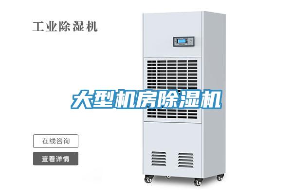 大型机房小黄片直播视频