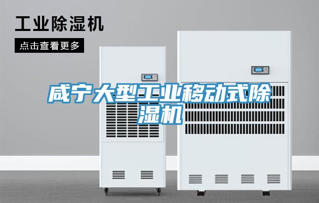 咸宁大型工业移动式小黄片直播视频
