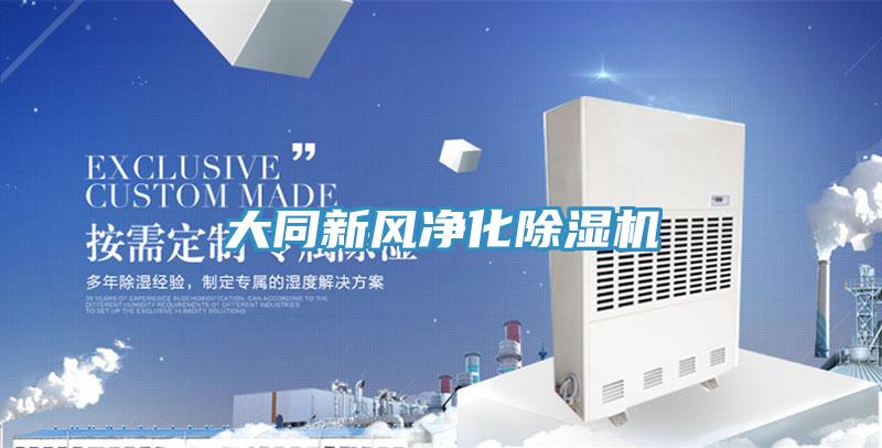 大同新风净化小黄片直播视频