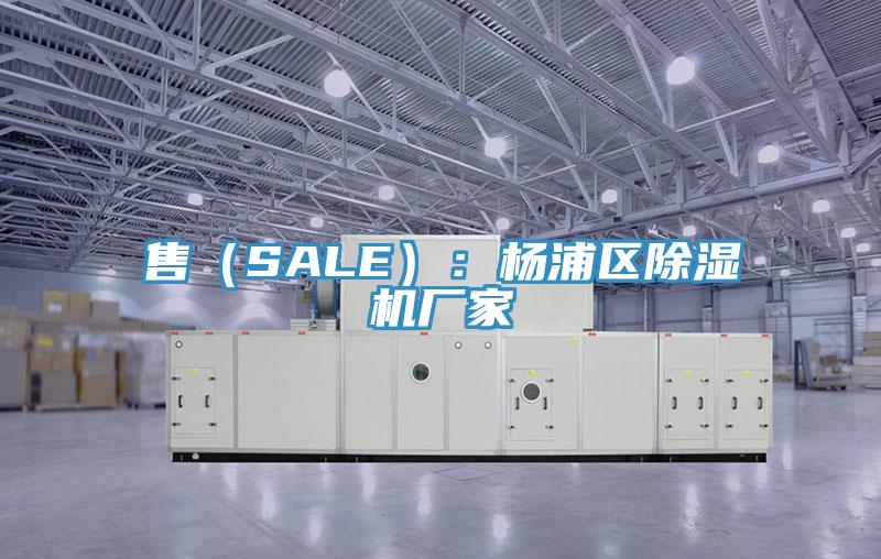 售（SALE）：杨浦区小黄片直播视频厂家