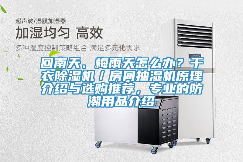 回南天、梅雨天怎么办？干衣小黄片直播视频／房间抽湿机原理介绍与选购推荐，专业的防潮用品介绍