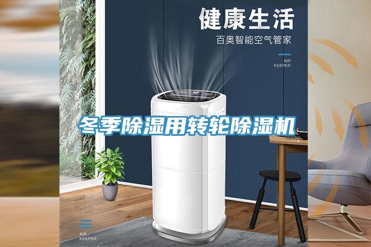 冬季除湿用转轮小黄片直播视频