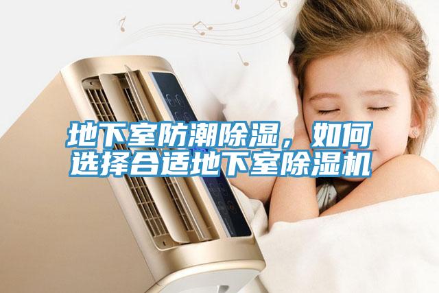 地下室防潮除湿，如何选择合适地下室小黄片直播视频