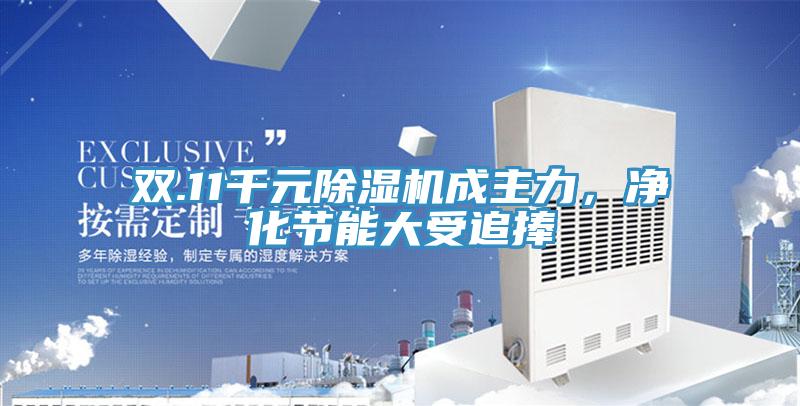 双.11千元小黄片直播视频成主力，净化节能大受追捧
