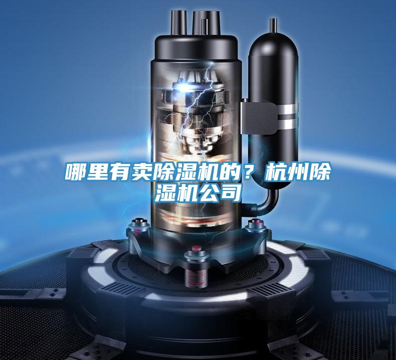 哪里有卖小黄片直播视频的？杭州小黄片直播视频公司